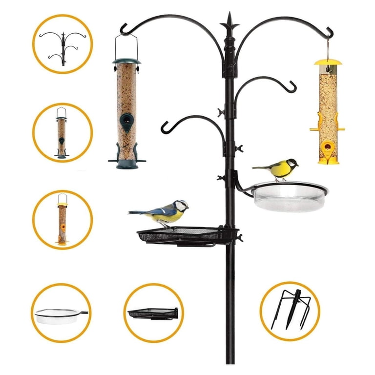 How Tall Should a Bird Feeder Pole Be: Expert Height Tips