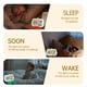 thumbnail image 5 of Entrenador de SueñO OK To WAKE CLOCK Reloj Despertador de Entrenamiento de SueñO para NiñOs con Luz Inteligente MultilingüE, 5 of 7
