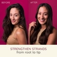 thumbnail image 3 of Aveeno Blackberry Quinoa Protein Blend: Ultimate Color-Treated Hair Protection & Nourishment - Sulfate-Free, Strengthening & Moisturizing Shampoo - Paraben & Dye-Free - 12 Fl Oz, 3 of 3