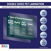 ZoCo: Four Types of Sexual Harassment Workplace Poster - Laminated, 12 x 18 in.
