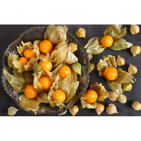 50 PINEAPPLE TOMATILLO Yellow Ground Cherry Physalis Ixocarpa Fruit Vine Seeds