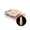 Alex, variant on Apres Nail Neutrals Gel-X Sculpted Long Coffin Tips 150pc – Maisie