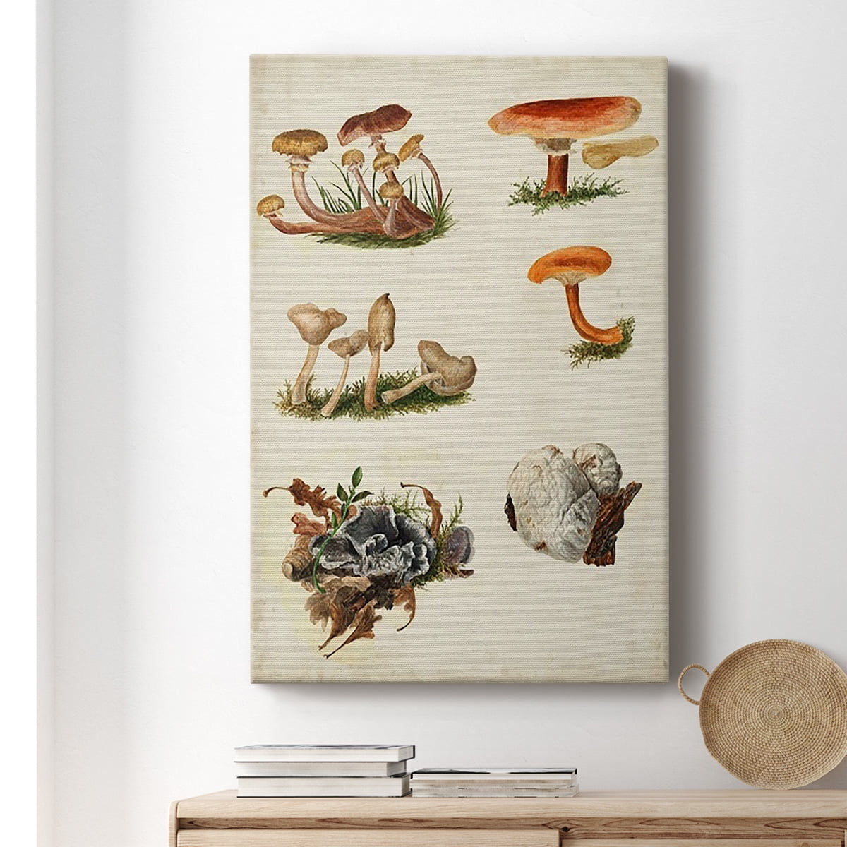 Mushroom Species X Premium Gallery Wrapped Canvas - Ready to Hang