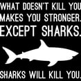 thumbnail image 3 of CafePress - Sharks Will Kill You Women's Dark Pajamas - Women's Short Sleeve Print T-Shirt and Pants Dark Cotton Pajama Set, 3 of 7