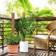 thumbnail image 5 of Musgo Para Planta De Queso Palo De Musgo Apilable Con 20 Bridas Para Cables Para Extender Monstera Pothos Vines 2 Uds Poste Serendint HA035070-00, 5 of 6