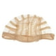 thumbnail image 1 of Base para peluca Macarena de encaje beige Gorra de peluca de encaje, 1 of 8