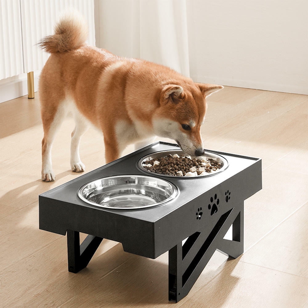 Dog food bowl stand online