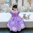 thumbnail image 2 of HAWEE Princess Costume for Girl Dress Up Costume Kids Puff Sleeve Fancy Party Purple Costume Layerd Dresses, 2 of 7