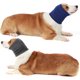 thumbnail image 5 of Orejeras para calentar el cuello de la redecilla del perro para la cubierta del oído que ca Abody Azul,Grande, 5 of 7