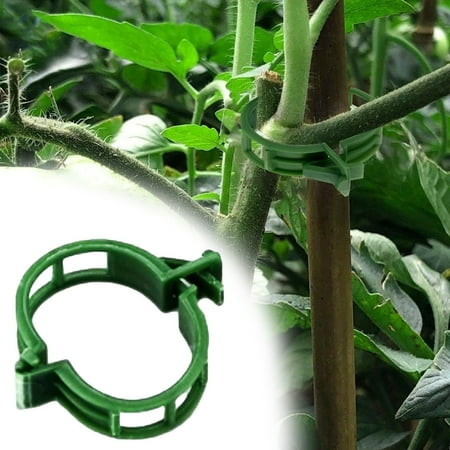 

BFYSFBAIG Clips 100PCS Clips For Climbing Clear Clips Garden Clips Support Clips Clips Support Garden Clips Vine Fixing Clip For