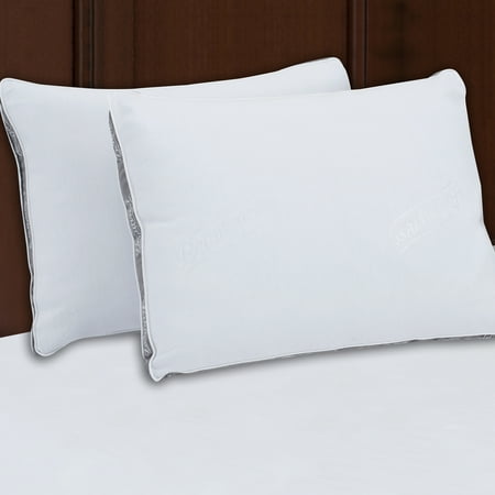 Beautyrest Silver Luxurious Spa Comfort Pillow Set of 2,Multiple (Best Queen Size Pillows)