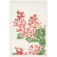 thumbnail image 2 of Morikaga, Megata 14x18 White Modern Wood Framed Museum Art Print Titled - Sarusubi blossoms, 2 of 4