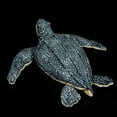 thumbnail image 2 of Plush Stuffed Toy 11.8'' Real Life Soft Leatherback Turtle Stuffed Toy Lifelike Sea Life Animals Tortoise Model Plush Dolls For Kids Gift Simulation, 2 of 6