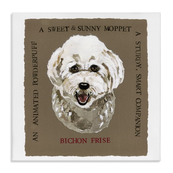 Stupell Industries Cottage Fun Bichon Frise Phrases Canvas Art, 17 x 17, by Nancy Overton