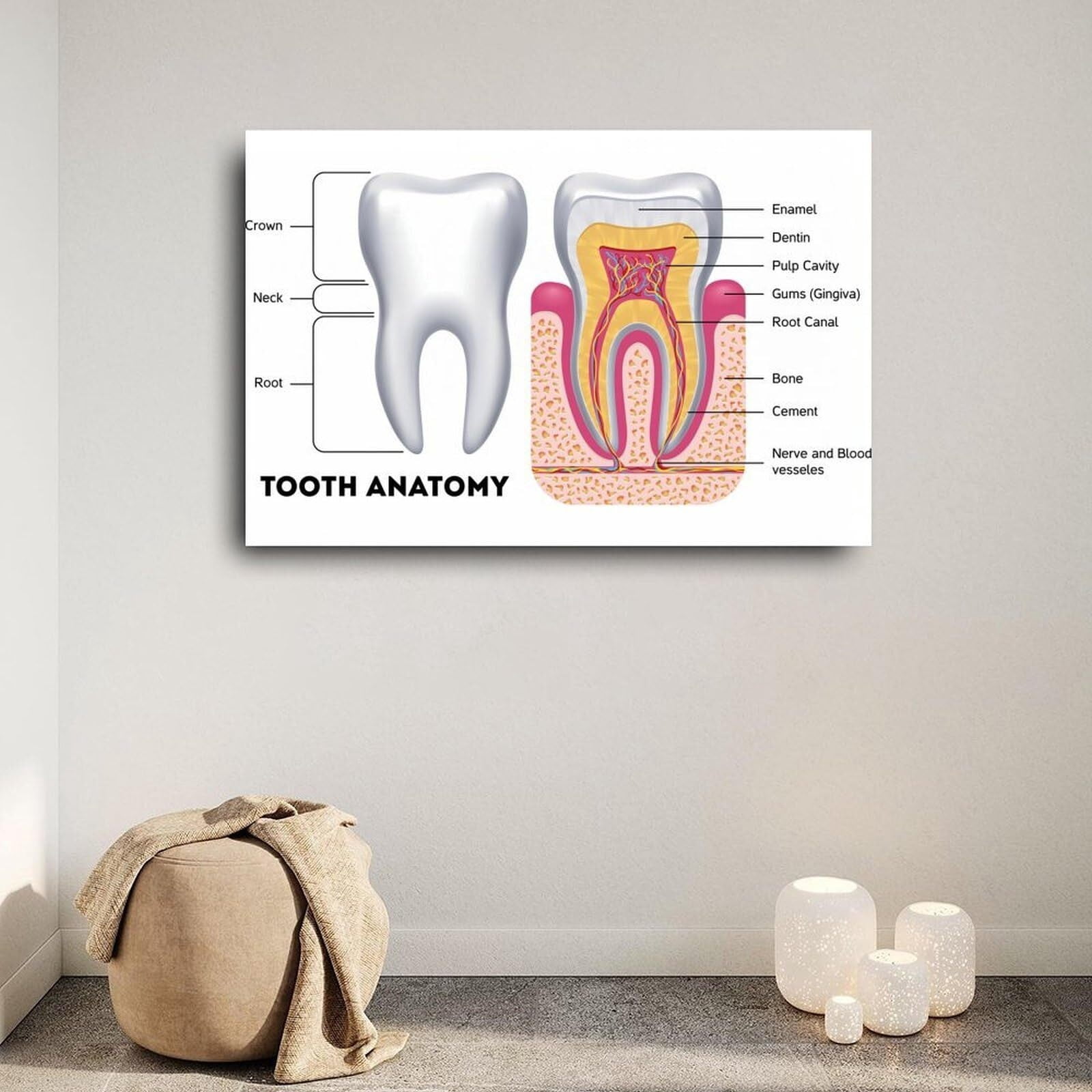Dental Chart Office Decor Nursing School Essentials Medical Poster Canvas Painting Posters And Prints Wall Art for Living Room Bedroom Decor