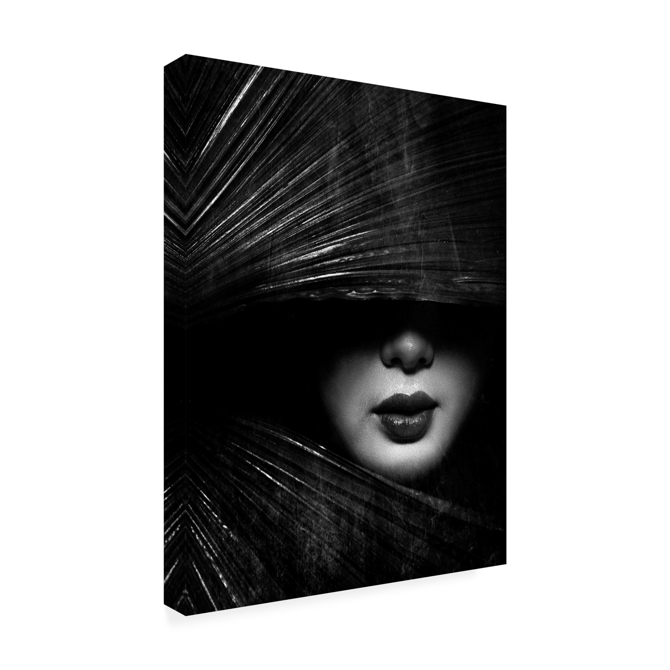 Canvas Wall Art - Anthony Skip 'Untitled' Wall Art for Living Room, Bedroom, or Office Décor by Trademark Fine Art - 14 x 19 Inches