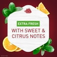 thumbnail image 5 of Old Spice Clinical Sweat Defense Antiperspirant Deodorant for Men, Extra Fresh, 1.7 oz, 5 of 9