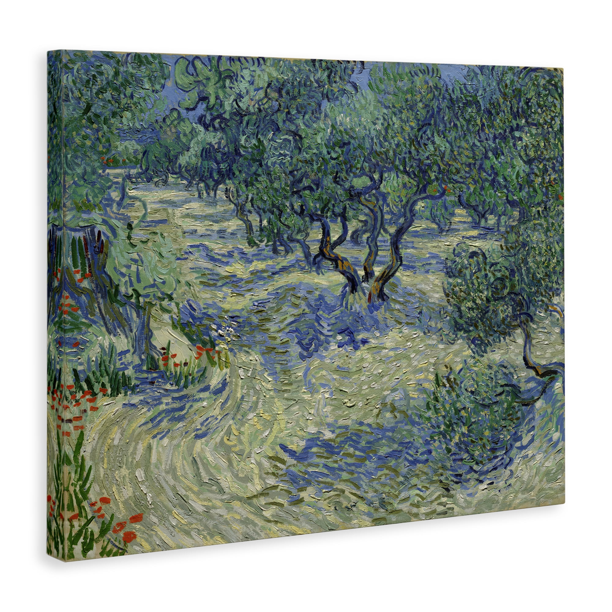 Stupell Industries Classic Van Gogh Olive Orchard Landscape & Nature Painting Wrapped Canvas Art Print Wall Art, 40 x 30