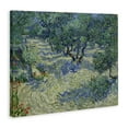 thumbnail image 4 of Stupell Industries Classic Van Gogh Olive Orchard Landscape & Nature Painting Wrapped Canvas Art Print Wall Art, 40 x 30, 4 of 8