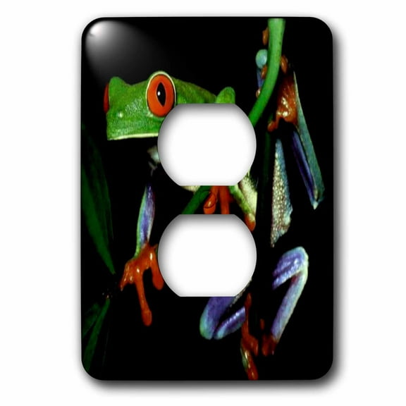 3dRose, Frog, 2 plug outlet cover
