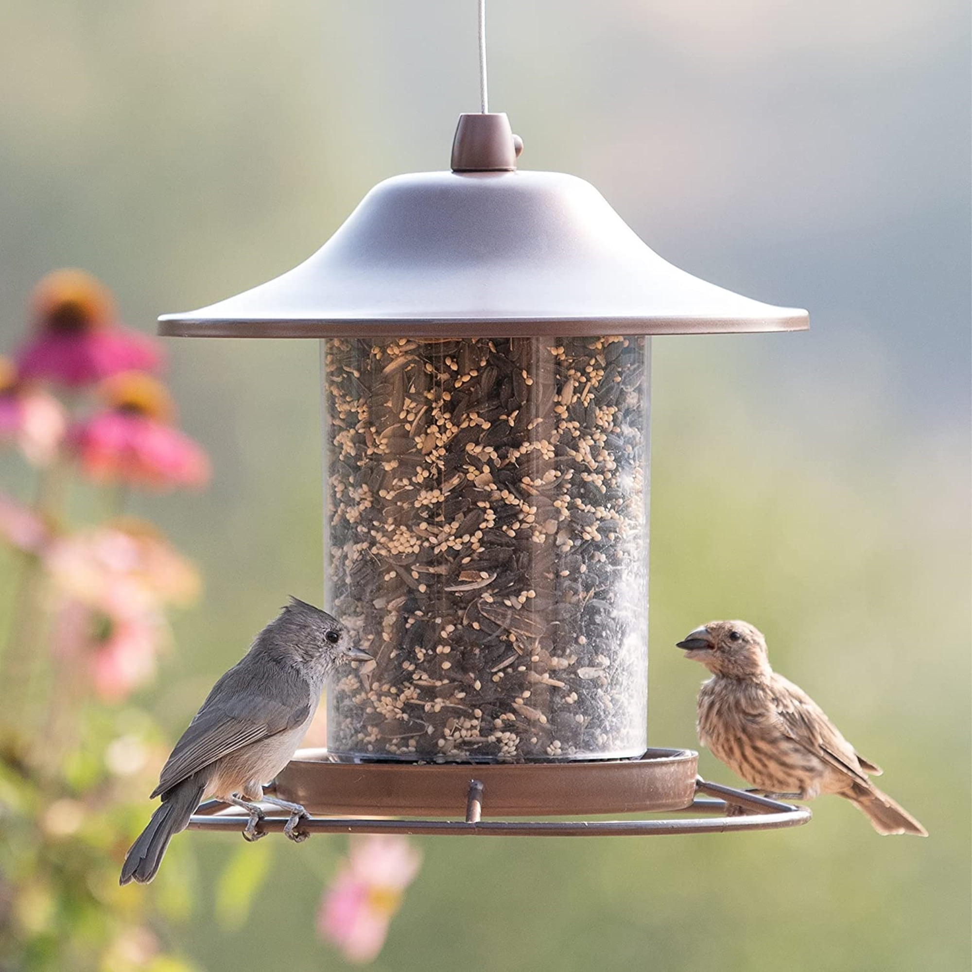 Perky-Pet 2 lb Small Panorama Wild Bird Feeder
