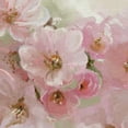 thumbnail image 3 of Masterpiece Art Gallery Japanese Cherry Tree Blossom By Studio Arts Canvas Art Print 22" x 28", 3 of 4
