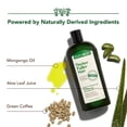 thumbnail image 2 of Champú y acondicionador Thicker Fuller Hair 2 en 1, 355 ml, para hombres, 2 of 9