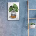 thumbnail image 3 of Epic Art 'Monstera Plant' by House Fenway, Acrylic Glass Wall Art, 16"x24", 3 of 3