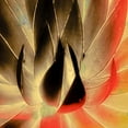 thumbnail image 3 of Hartson-Weddle, Ryan 20x20 Black Modern Framed Museum Art Print Titled - Aloe in the Sun III, 3 of 5