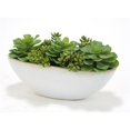 thumbnail image 1 of Distinctive Designs International 2998 Succulents & Hen-n-Chickens in White Oval Ceramic Planter, 1 of 1