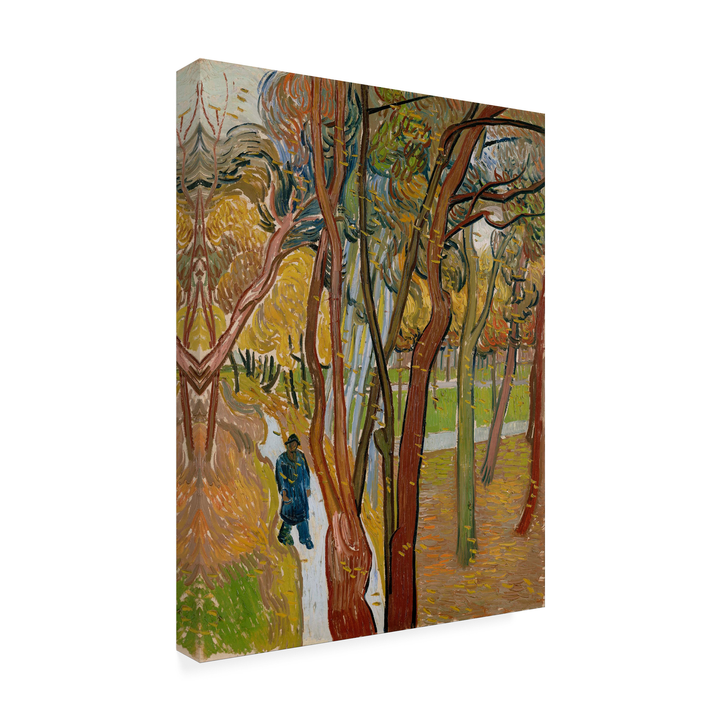 Van Gogh 'The Garden Of Saint Pauls Hospital' Canvas Art