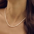 thumbnail image 2 of Memories Base Pearl Necklace, 2 of 5