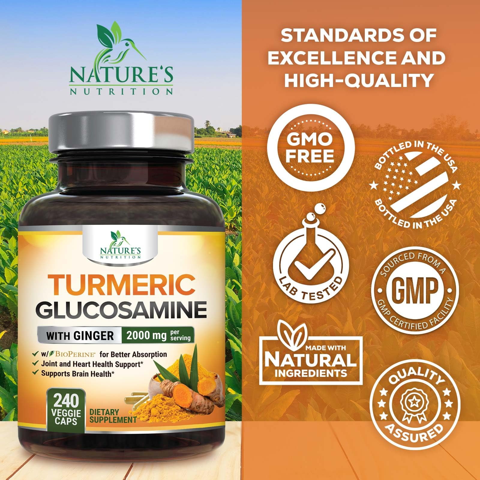 Turmeric Curcumin Supplement - 95% Curcuminoids with Glucosamine, Ginger & MSM, BioPerine Black Pepper Extract for Best Absorption, Natural Vegan Joint Support, Non-GMO, Bottled in USA - 240 Capsules