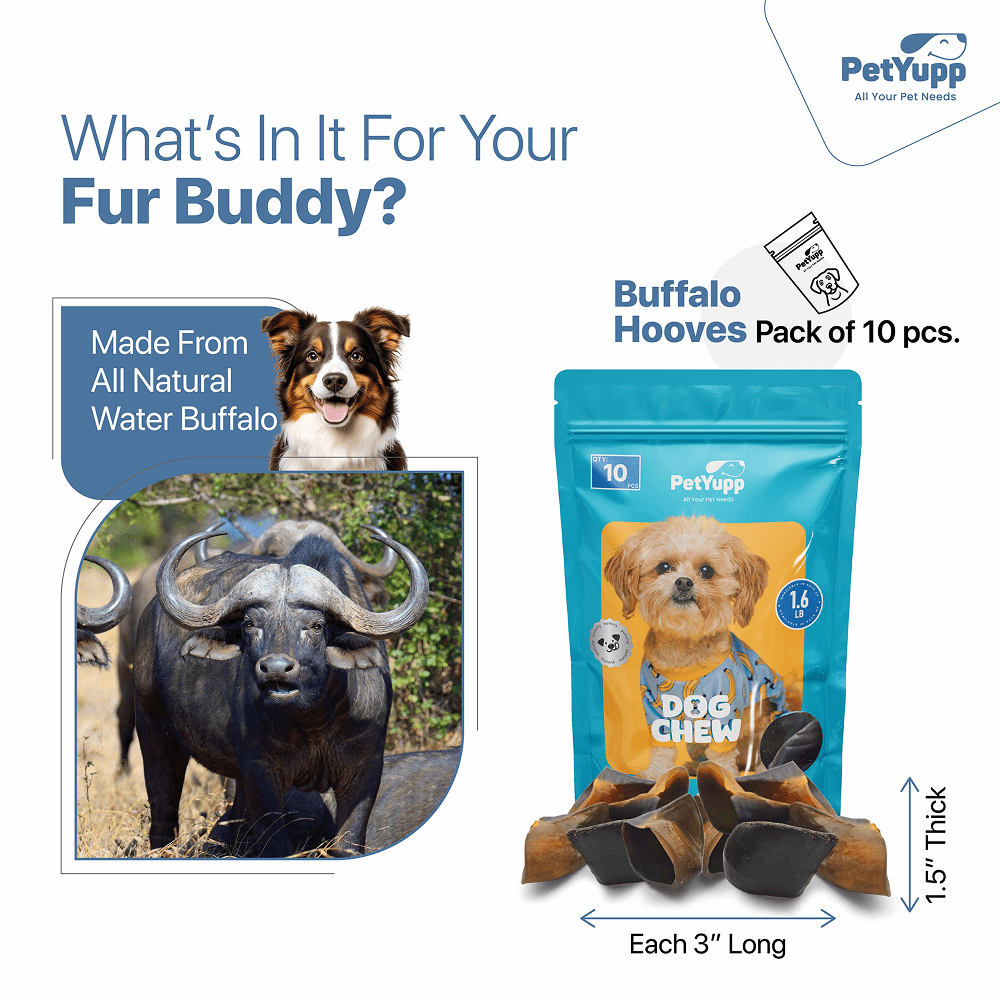 PetYupp Water Buffalo Hooves Dog Chew Treats 10 Count