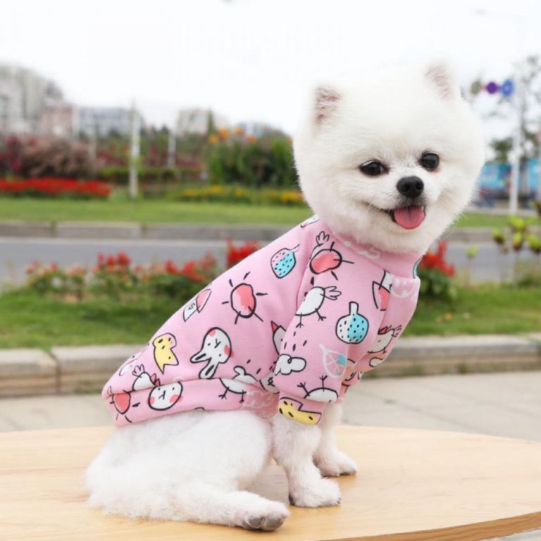 Dog Clothes for Small Medium Large Dog or Cat, Warm Soft Pet Clothes for Puppy, Small Dogs Girl or Boy, Dog Sweaters Shirt Jacket Vest Coat for Winter