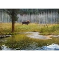thumbnail image 2 of Vest, Christopher 18x14 Gold Ornate Wood Framed with Double Matting Museum Art Print Titled - Moose in Forest Aspens, 2 of 4