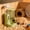 Green, variant on 2 in 1 Hamster Feeder and Water Dispenser, Automatic Small Pet Feeding Station with No Drip Water Bottle, Food Bowl Combo for Hamsters Gerbils Mice and Small Animals