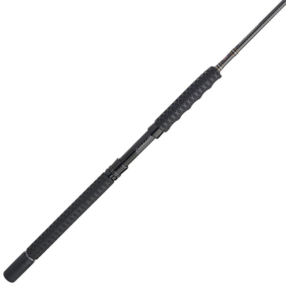 PENN Carnage III Spinning Boat Fishing Rod, 7' Fishing Pole, Light Power