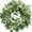B-20", variant on 24" Eucalyptus Wreath for Front Door - Large Artificial Greenery Outdoor Wreath for Porch, Window,Farmhouse,Home,Holiday,Christmas Hanging Decor- Spring, Summer, Fall, All Seasons