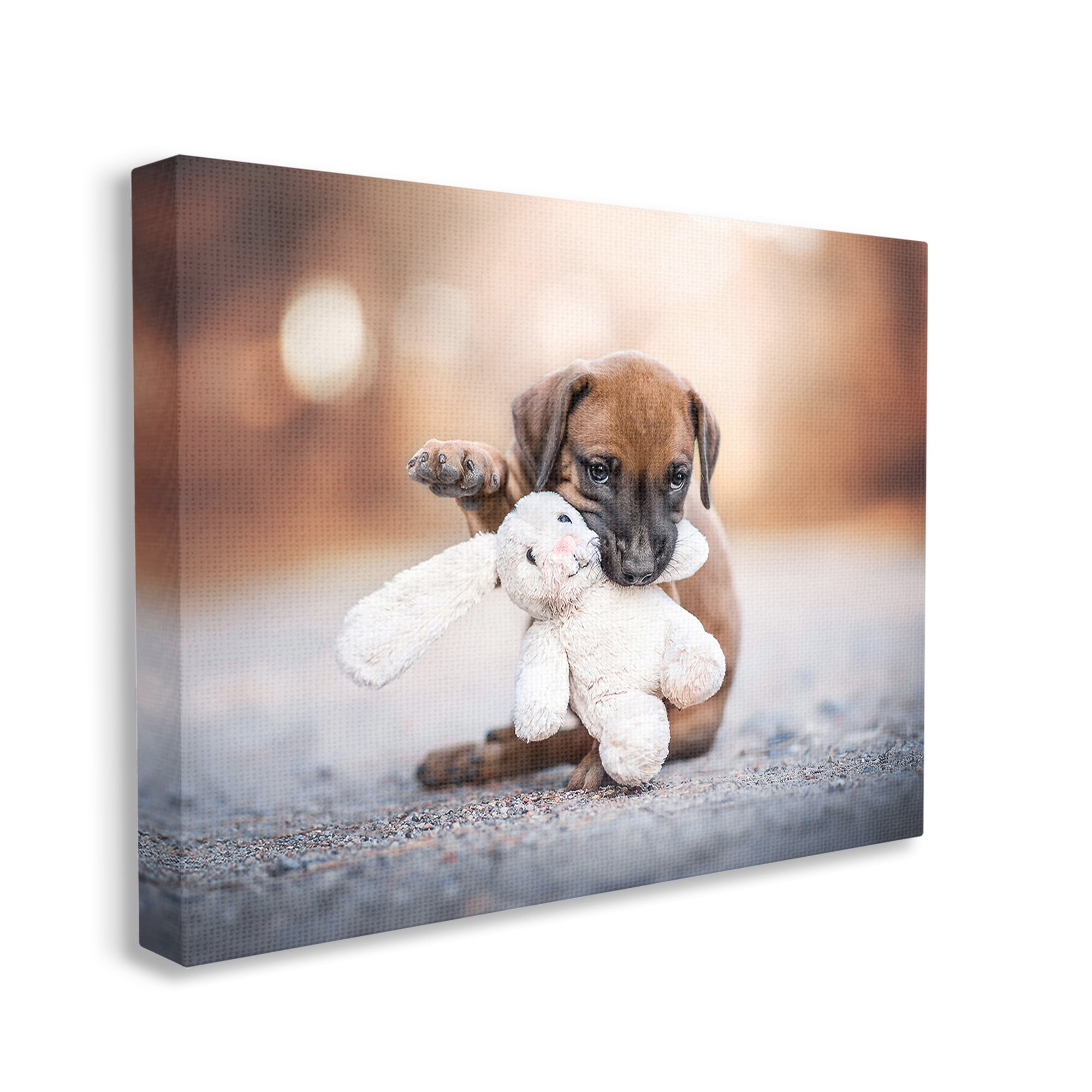 Stupell Industries Puppy with Plushie Toy Animals & Insects Painting Gallery Wrapped Canvas Art Print Wall Art, 20 x 16