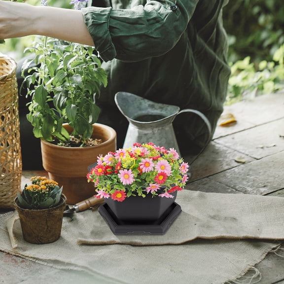 ELAYARD 2Sets Dark Brown Hexagonal Bonsai Tree Pot with Drainage for Indoor Plants