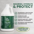 thumbnail image 2 of KESMEDIK Tea Tree Conditioner Refill, 128 fl oz (1 Gallon), Hydrating & Detangling, Softens Hair & Helps Reduce Flakes, Refreshes Scalp, Sulfate-Free, Professional Salon, Gym & Hotel Supplies, 2 of 7