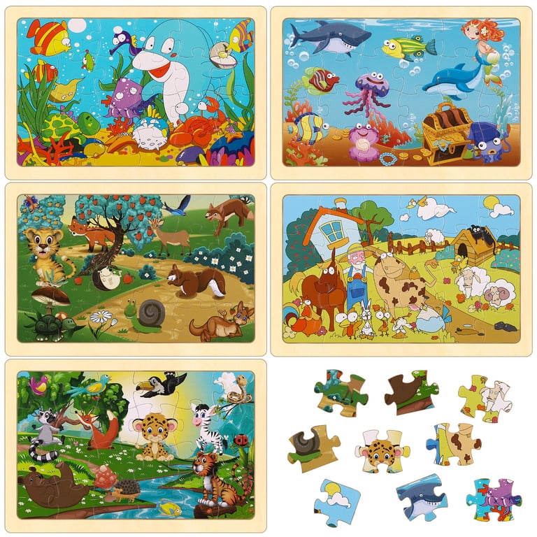 Sixwipe Wooden Puzzles Set, 5 Pack Educational Toy photo 8