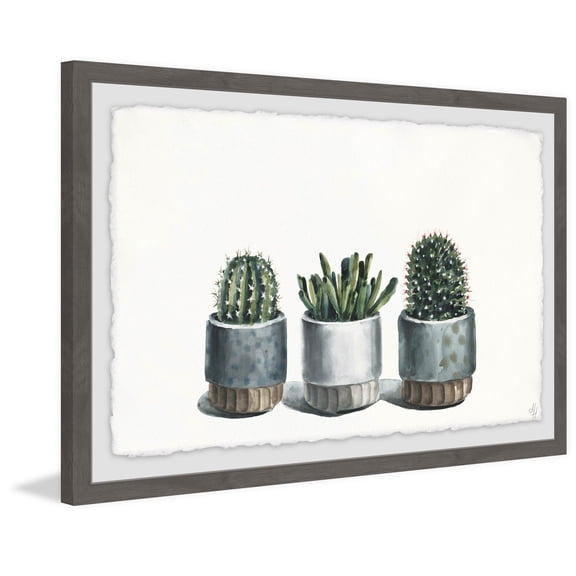 Trio Succulents Framed Painting Art Print, 30.00" x 1.50"