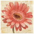 thumbnail image 1 of Great BIG Canvas | Rolled Albena Hristova Poster Print entitled Blushing Gerbera on Cream, 1 of 4