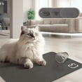 thumbnail image 5 of Hiroekza Premium Silicone Pet Feeding Mat 20 x 14 inch - Waterproof, Non-Slip for Cats & Dogs - Easy Clean Durable Diner Pad Gray, 5 of 6