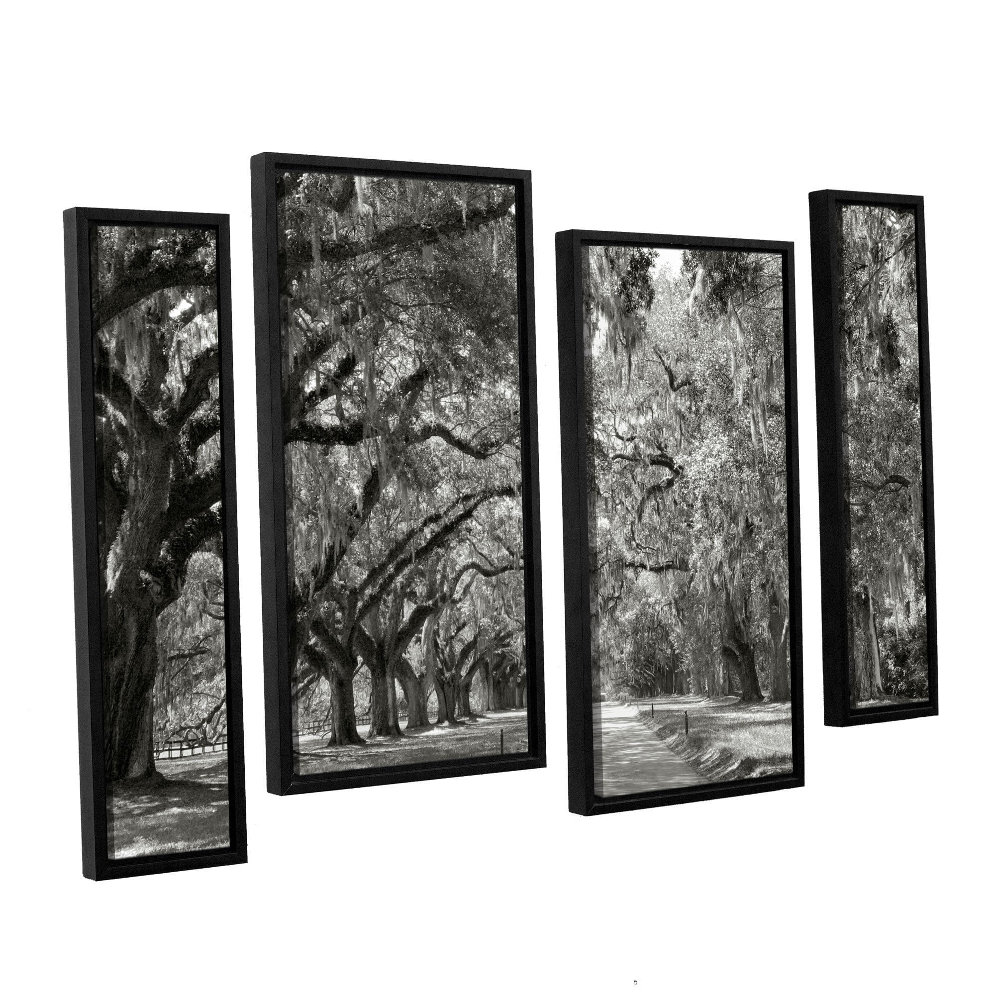ArtWall Steve Ainsworth "Live Oak Avenue" 4-Piece Floater Framed Canvas Staggered Set