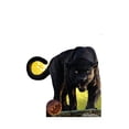 thumbnail image 3 of Shere Khan (Disney Live Action The Jungle Book), 3 of 3