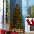 thumbnail image 2 of National Tree Company Montgomery 7' Clear Pre-lit Half Christmas Tree, 2 of 9