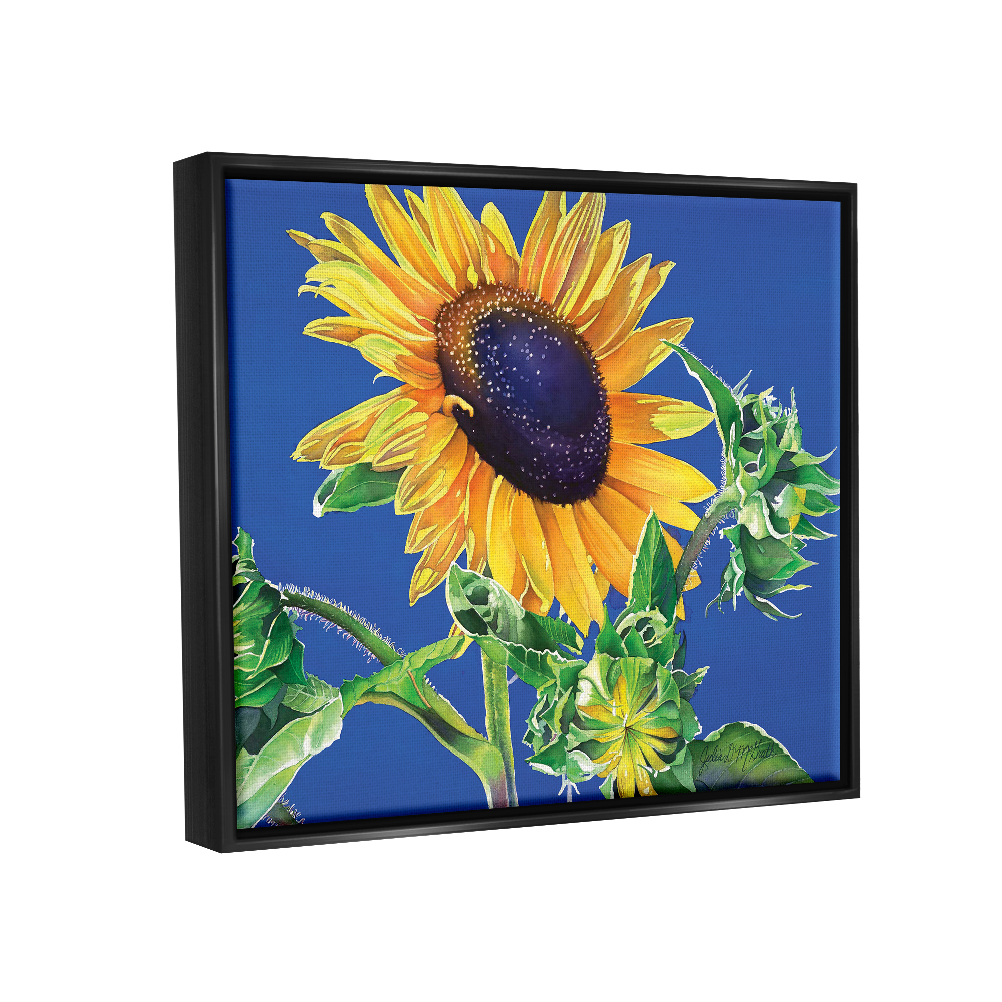Stupell Industries Sunflower on Blue Botanical & Floral Photography Black Floater Framed Art Print Wall Art, 31 x 25